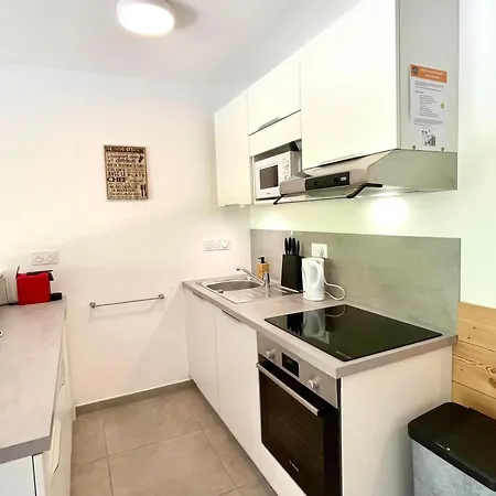 Neuf Sur Les Pistes Avec Parking Et Wifi - Fr-1-505-190 Apartment *